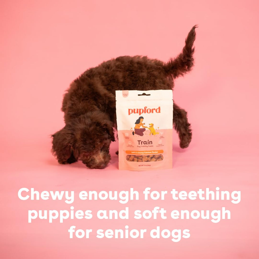 Soft & Chewy Training Treats for Dogs & Puppies Chicken 5 oz X5232