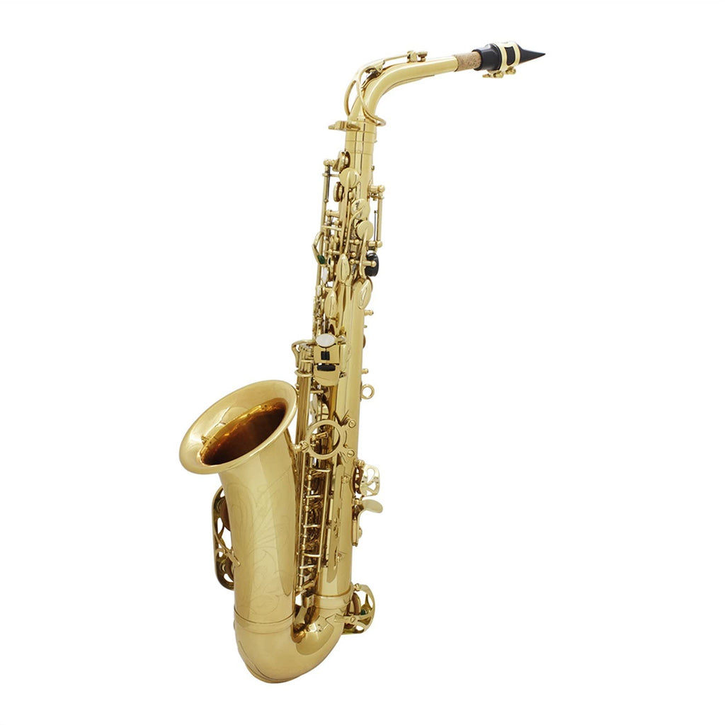 Alto Saxophone Set F837