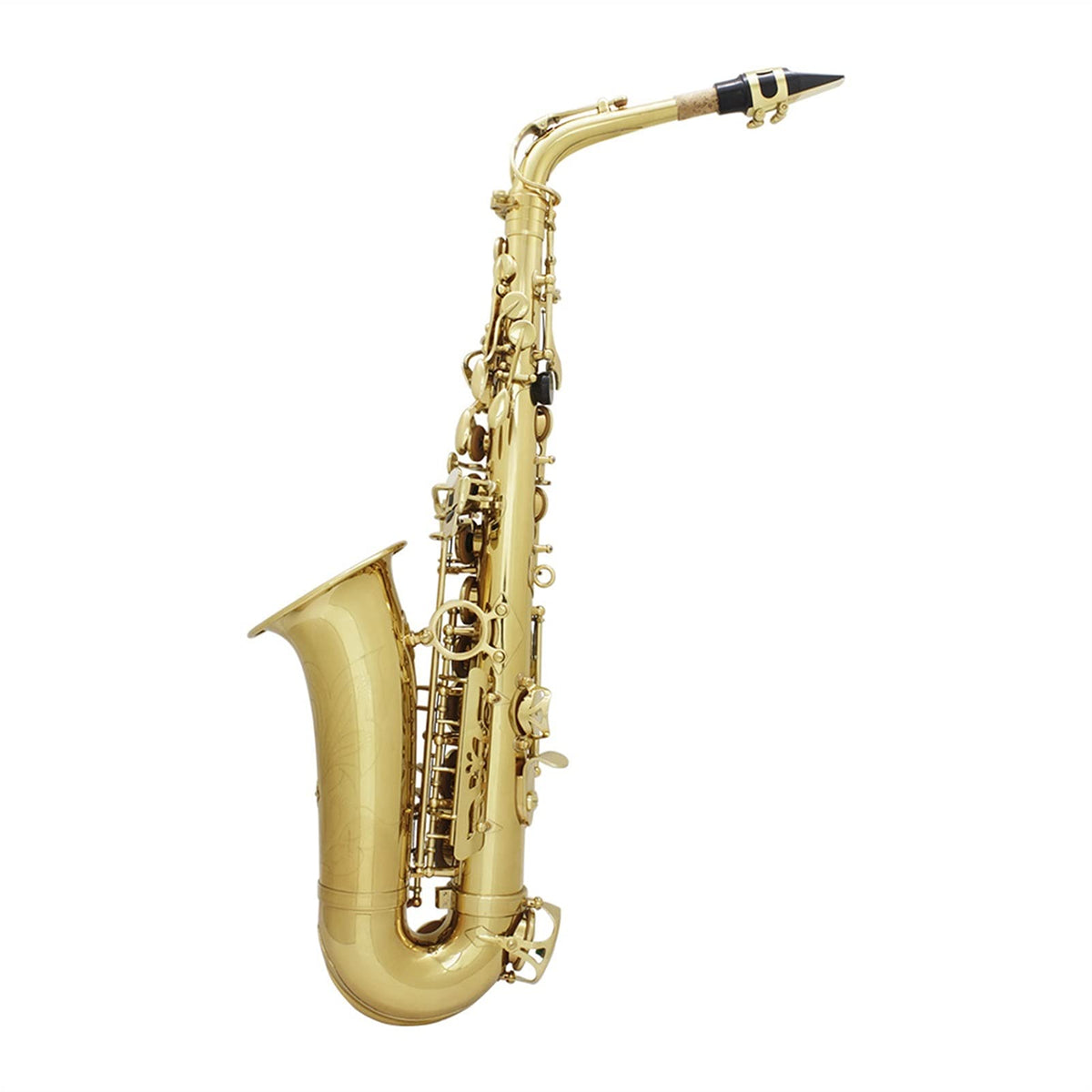 Alto Saxophone Set F837