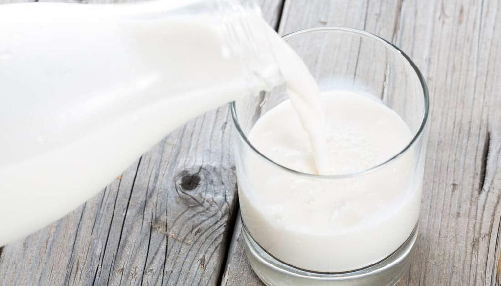 Instant Nonfat Dry Milk Powder, 1LB N1076
