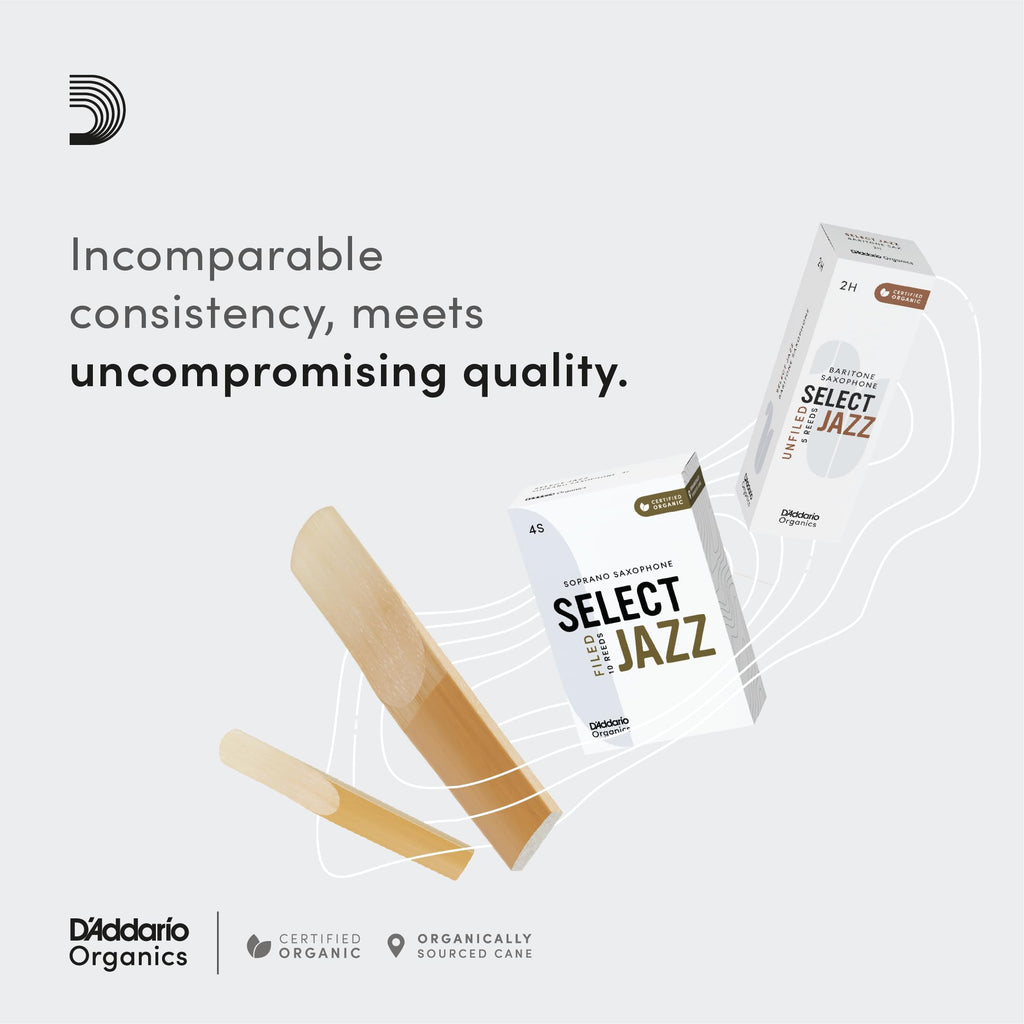 Alto Sax Reeds 2 Soft 3-Pack C938