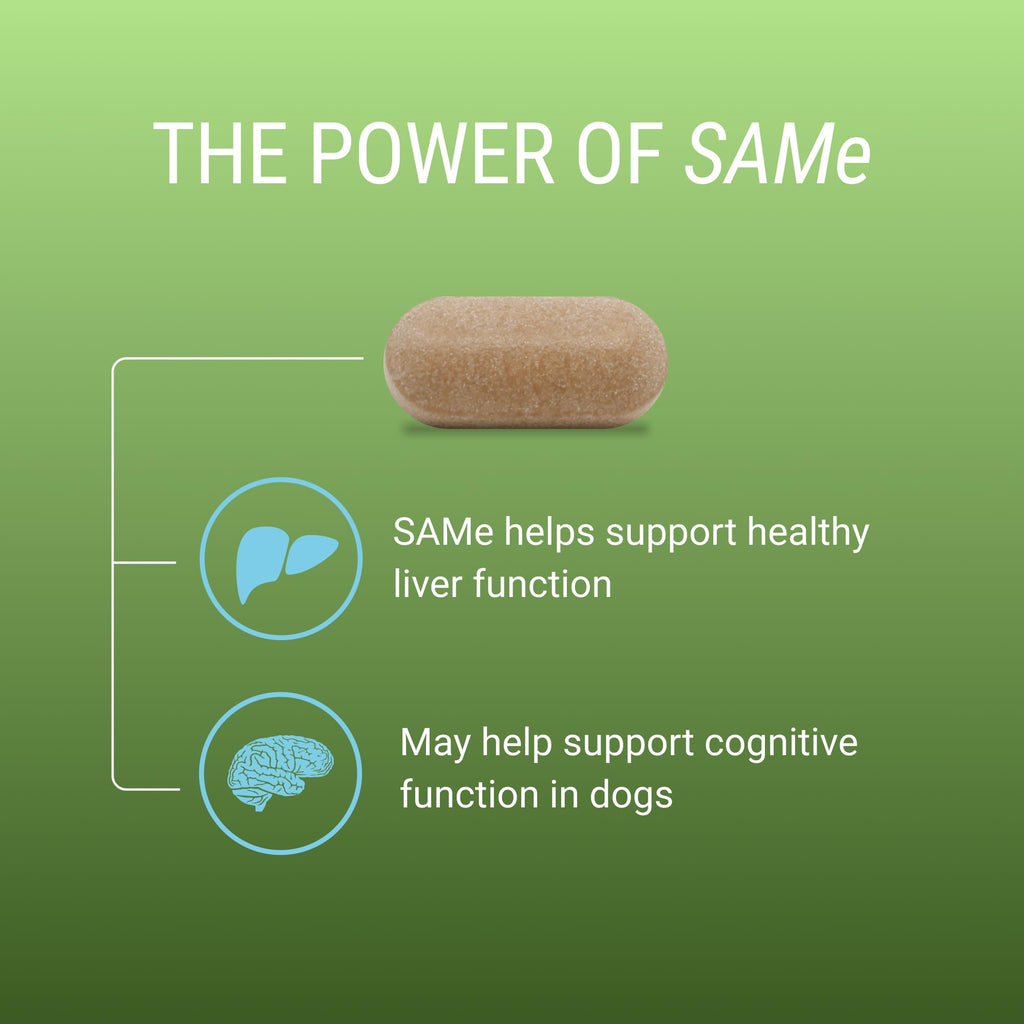 Liver & Brain Supplement for Large Dogs, 30ct Tablets N5719
