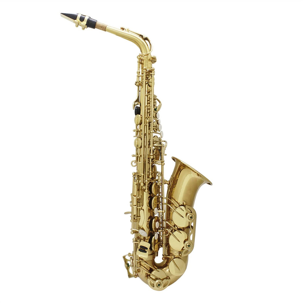 Alto Saxophone Set F837