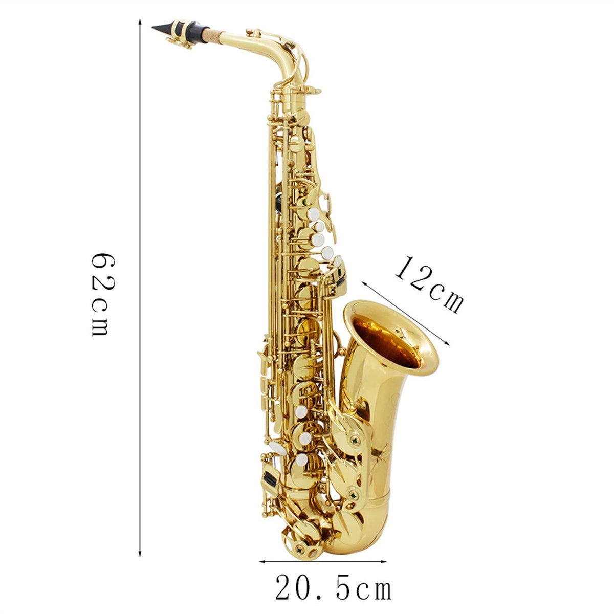 Alto Saxophone Set F837