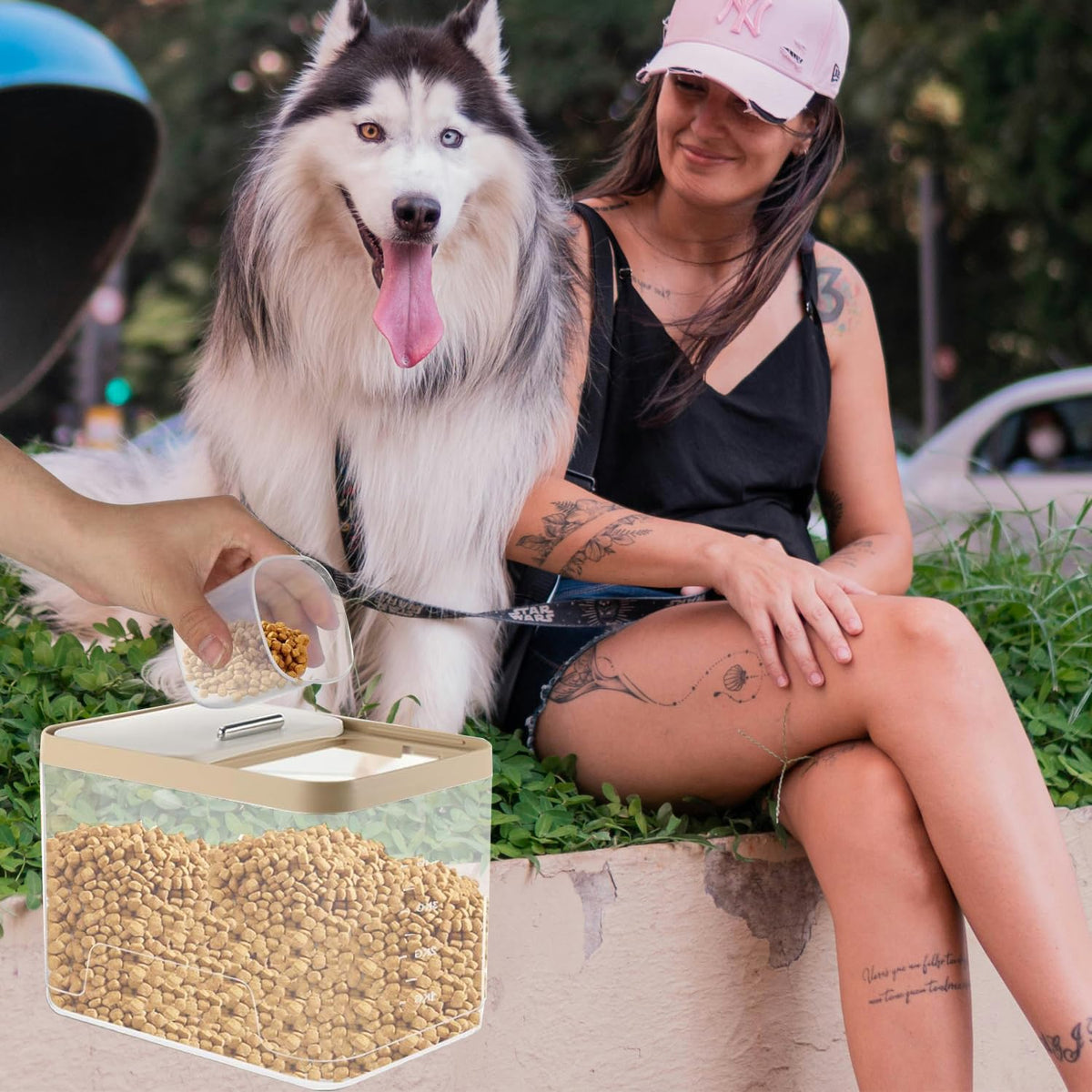 2 Pack 10 lb Clear Airtight Pet Food Storage Container G333