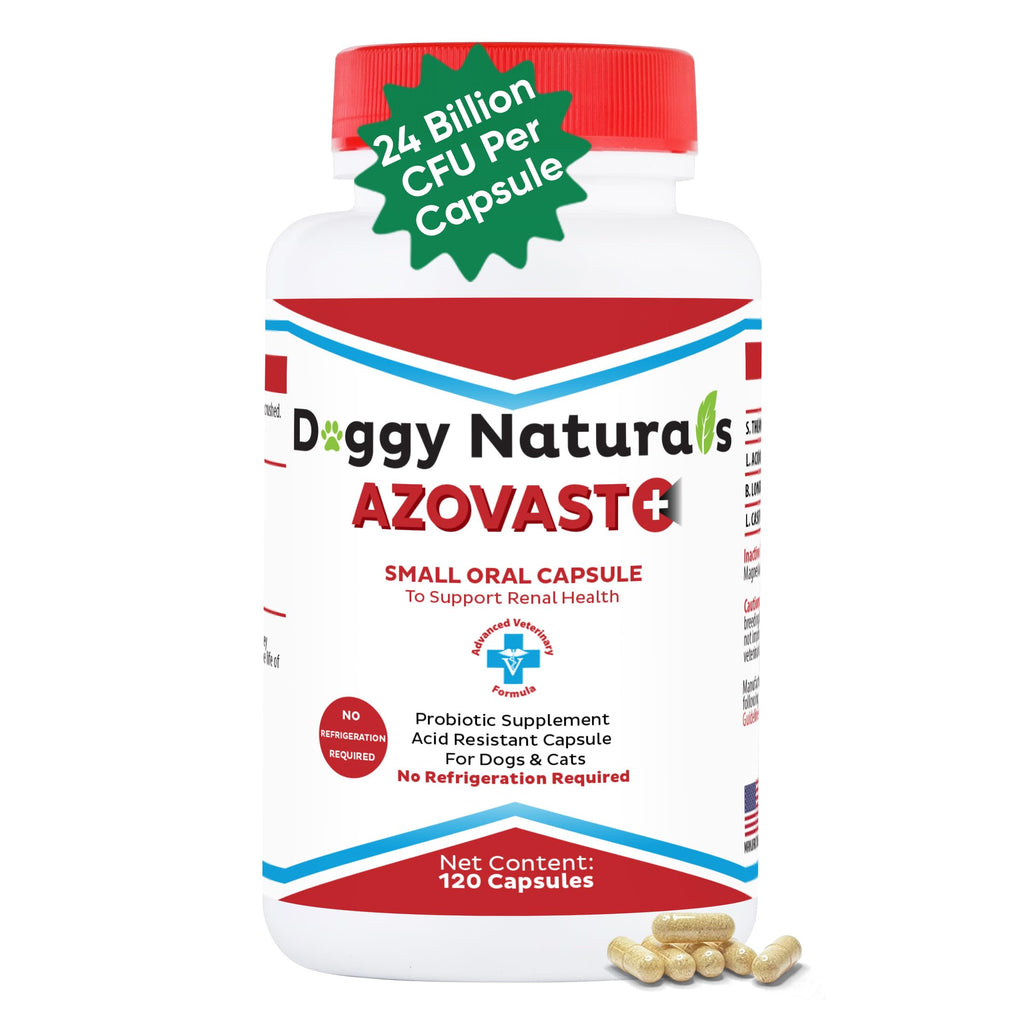 Kidney Probiotic Supplement for Dogs Cats 24 Billion CFU 120 Caps S64967