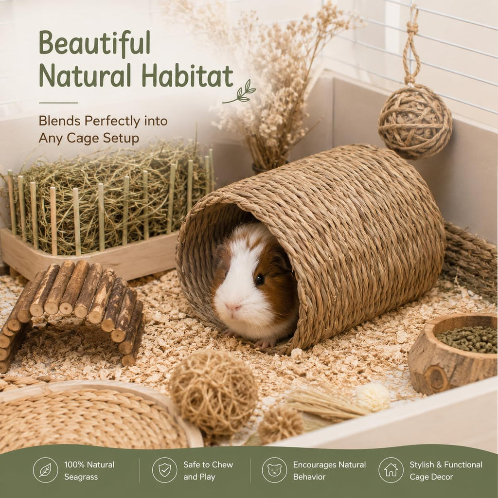 Natural Seagrass Bunny Tunnel V42569