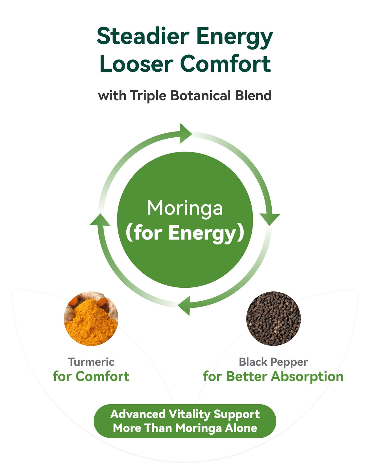 Moringa Capsules 1000mg 10:1 Moringa Leaf Extract 60 Count F5932