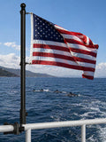 2.5FT Stainless Steel Boat Flag Pole Kit M926563