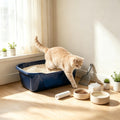 Open Top Cat Litter Box D382156