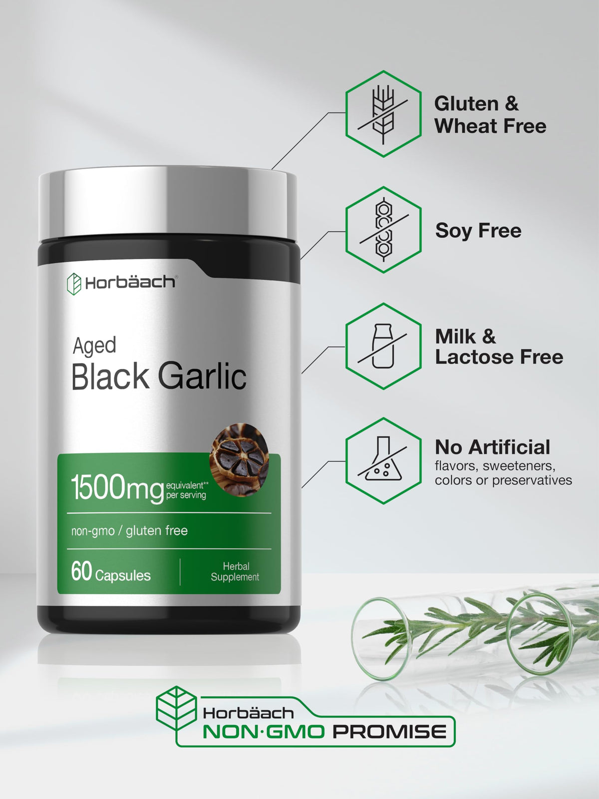 Aged Garlic Extract Capsules 60 Count I384