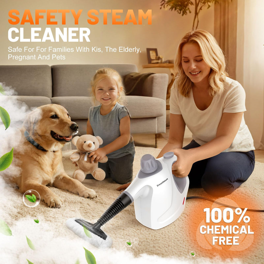 Handheld Pressurized Steam Cleaner with 11-Pieces Accessories Q147