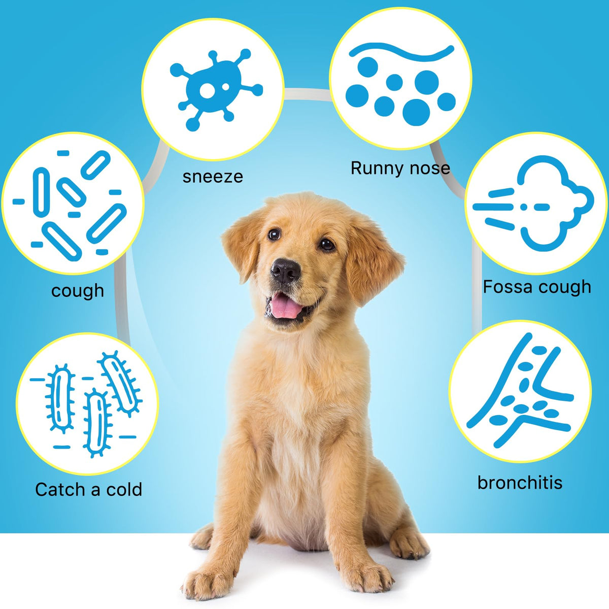Kennel Cough Herbal Drops 2.02 Fl.oz / 60 ml B487