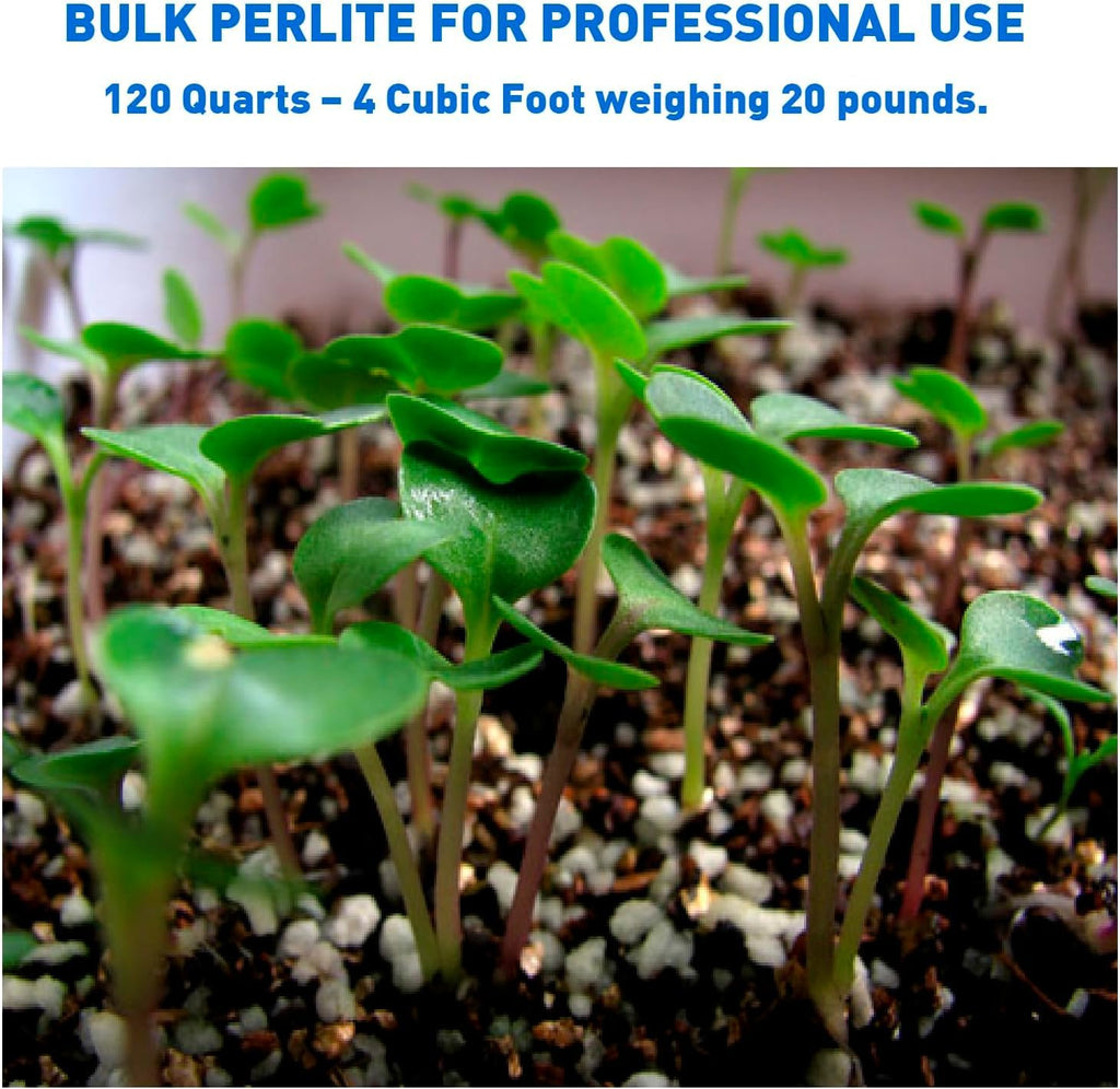 Perlite 4 Cubic Feet 1 Bag H363