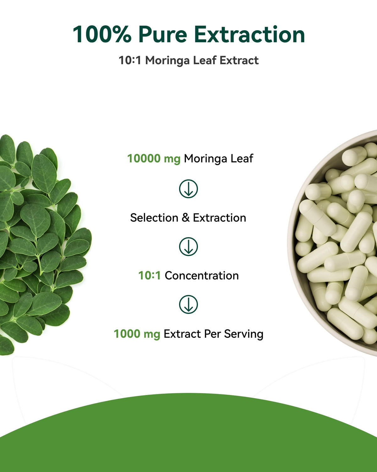 Moringa Capsules 1000mg 10:1 Moringa Leaf Extract 60 Count F5932
