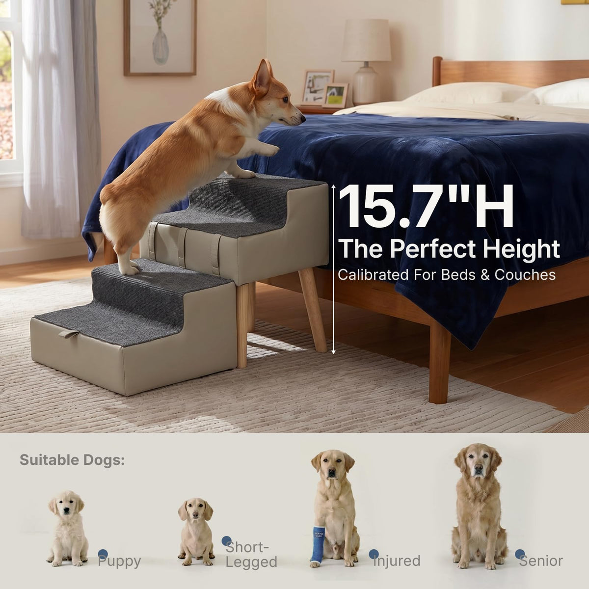 2-in-1 Foldable Dog Stairs & Ottoman K279973