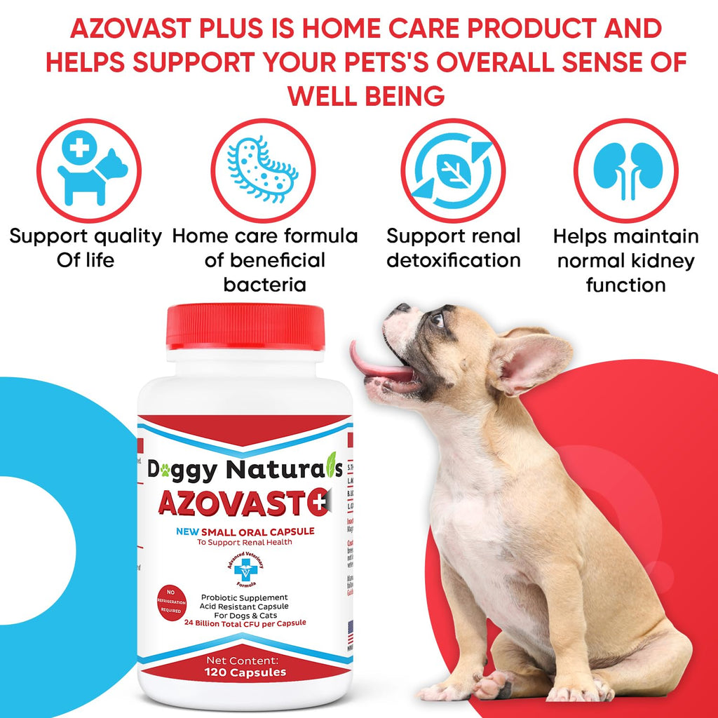 Kidney Probiotic Supplement for Dogs Cats 24 Billion CFU 120 Caps S64967
