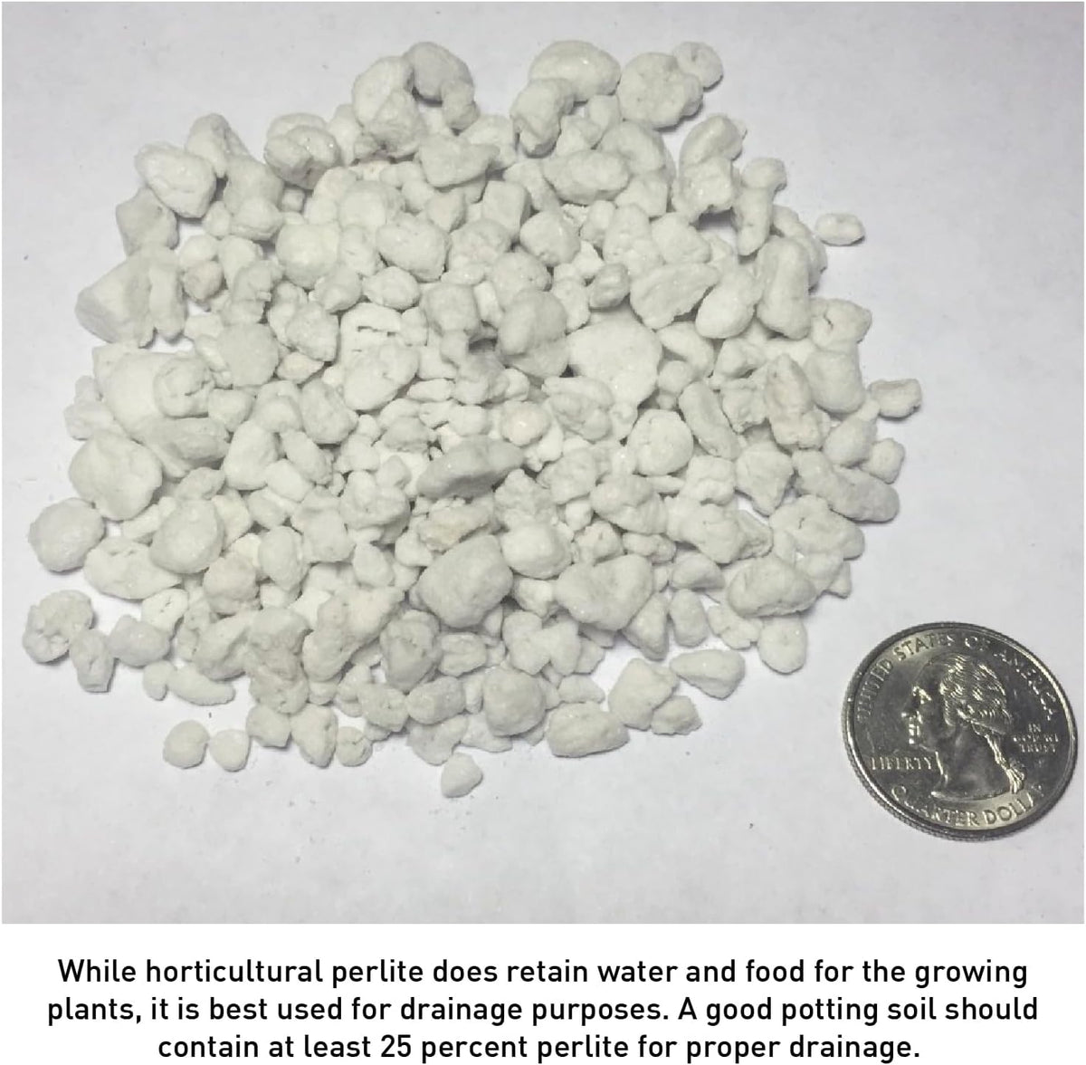 Perlite 4 Cubic Feet 1 Bag H363