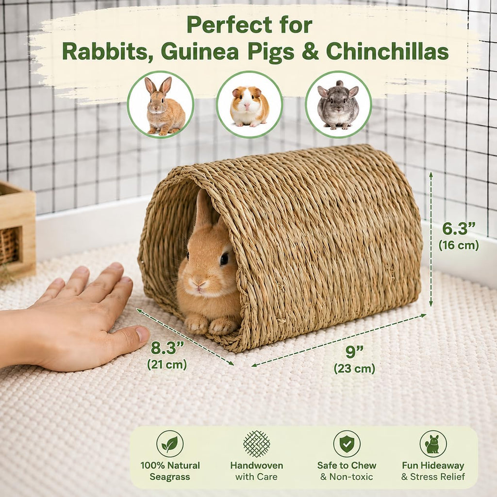 Natural Seagrass Bunny Tunnel V42569