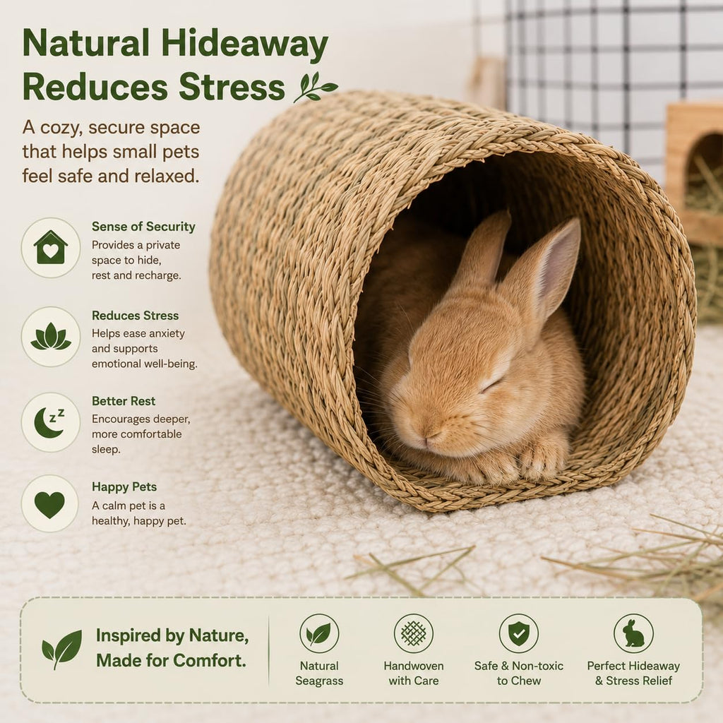 Natural Seagrass Bunny Tunnel V42569