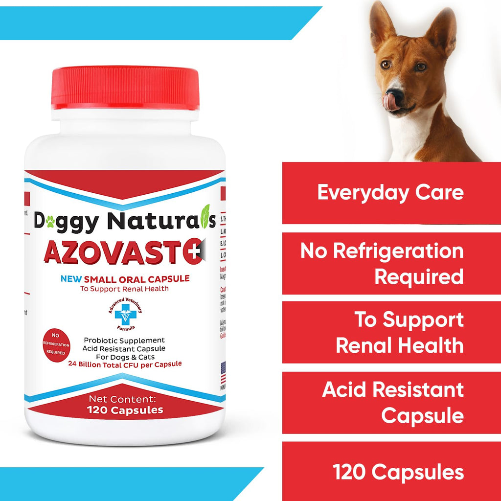 Kidney Probiotic Supplement for Dogs Cats 24 Billion CFU 120 Caps S64967
