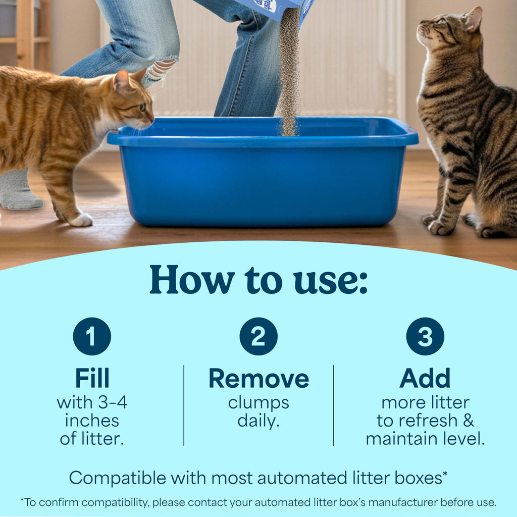 Unscented Clumping Cat Litter with Activated Charcoal, 14 lb E365660