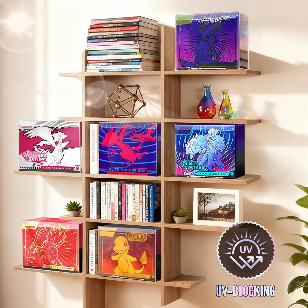 UV-Blocking Plastic Display Case K1933