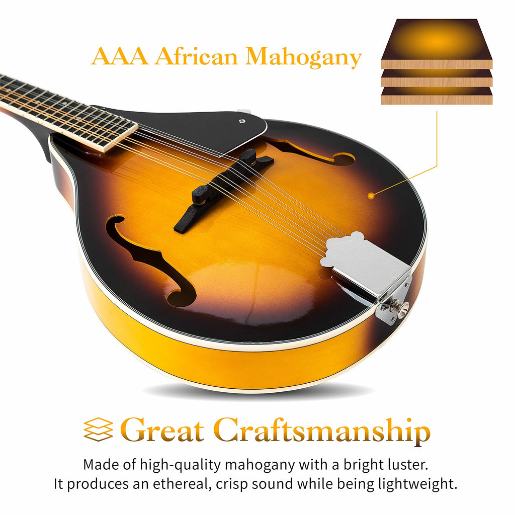 8 String Mahogany Wood Acoustic Mandolin Kit with Gig Bag M232