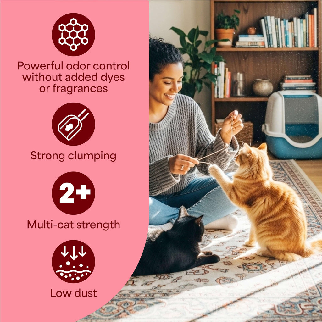 Unscented Clumping Cat Litter with Activated Charcoal, 14 lb E365660