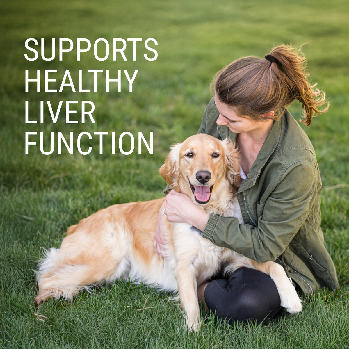 Liver & Brain Supplement for Large Dogs, 30ct Tablets N5719