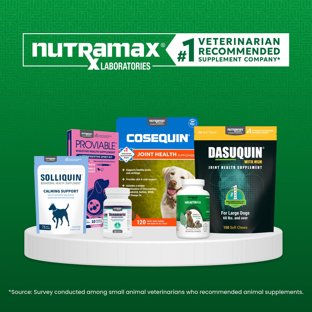 Liver & Brain Supplement for Large Dogs, 30ct Tablets N5719