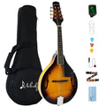 8 String Mahogany Wood Acoustic Mandolin Kit with Gig Bag M232