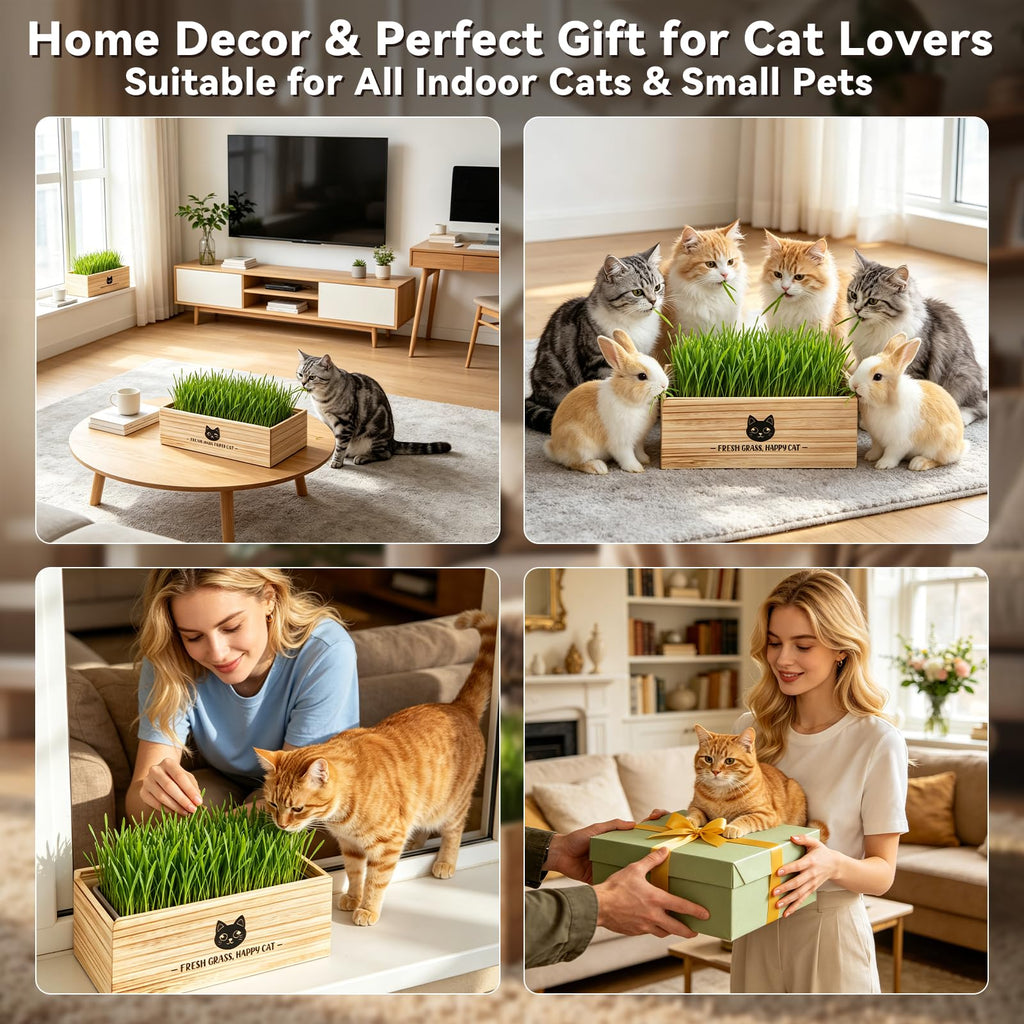 Cat Grass Kit Indoor Non-GMO Wheatgrass Seeds Growing Set A678767
