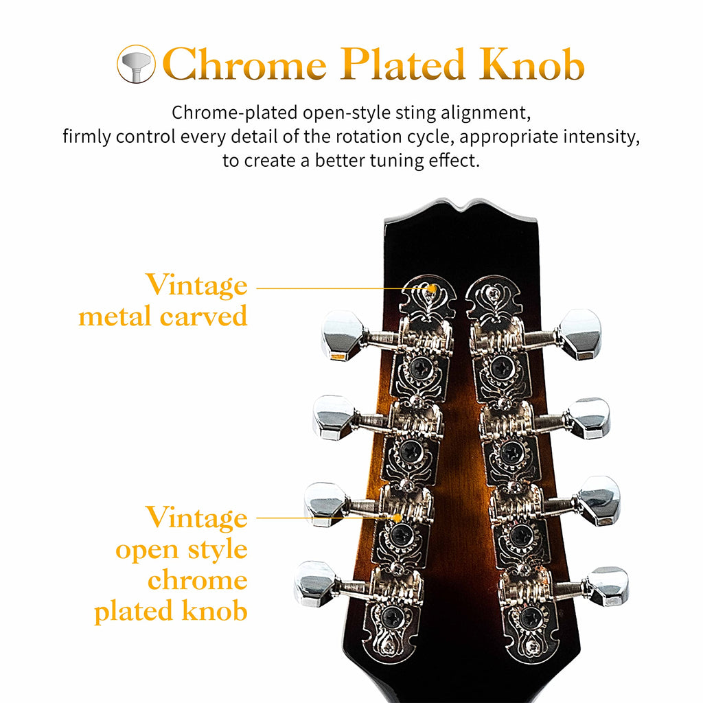 8 String Mahogany Wood Acoustic Mandolin Kit with Gig Bag M232