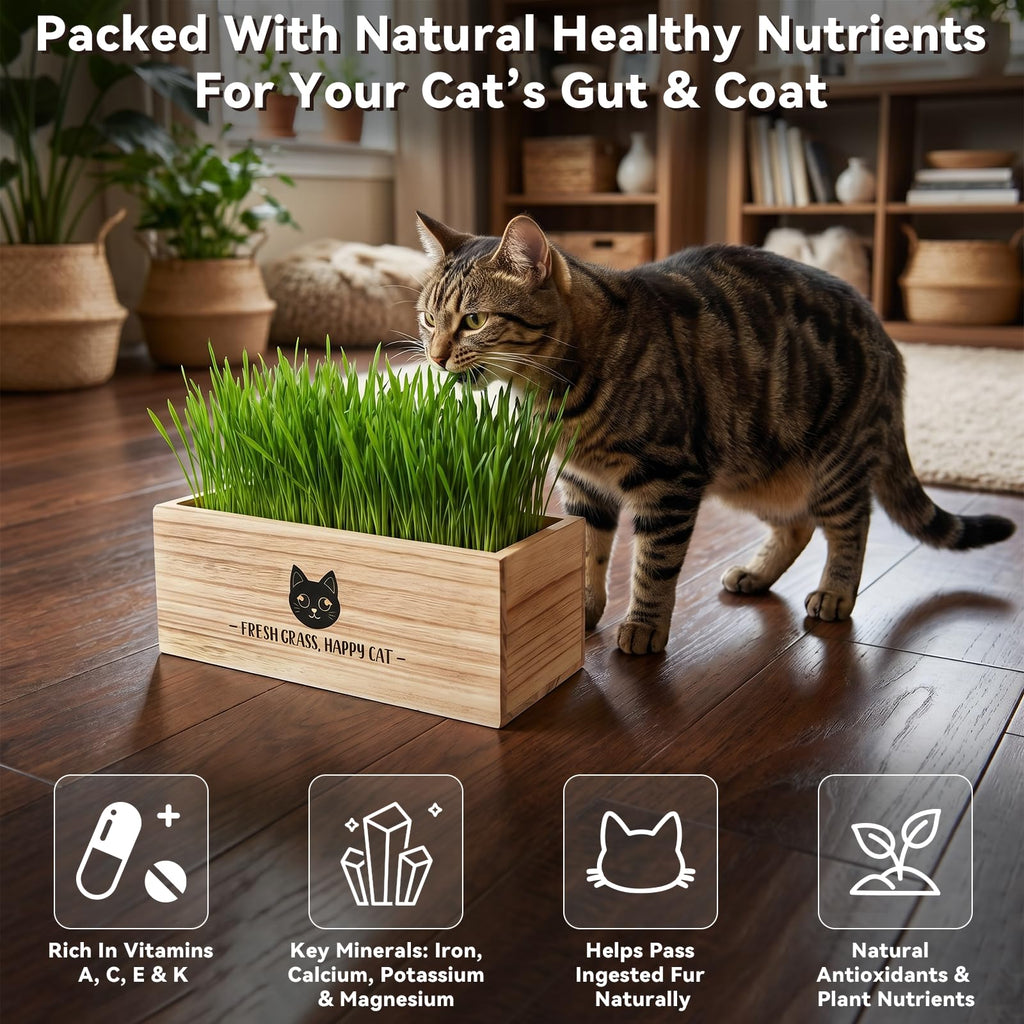 Cat Grass Kit Indoor Non-GMO Wheatgrass Seeds Growing Set A678767