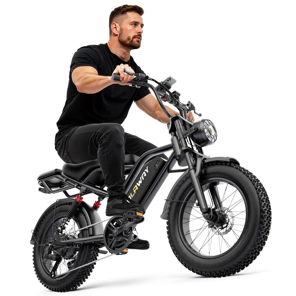 20" Fat Tire 1500W Electric Bike with Removable Battery T5192
