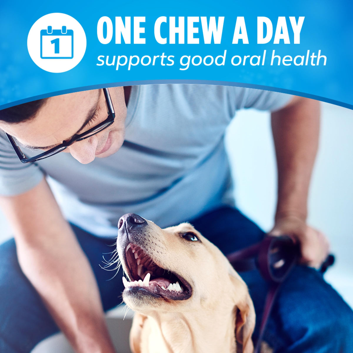 Daily Oral Care Dog Treats 40 ct Z69407