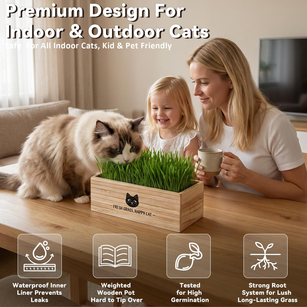 Cat Grass Kit Indoor Non-GMO Wheatgrass Seeds Growing Set A678767