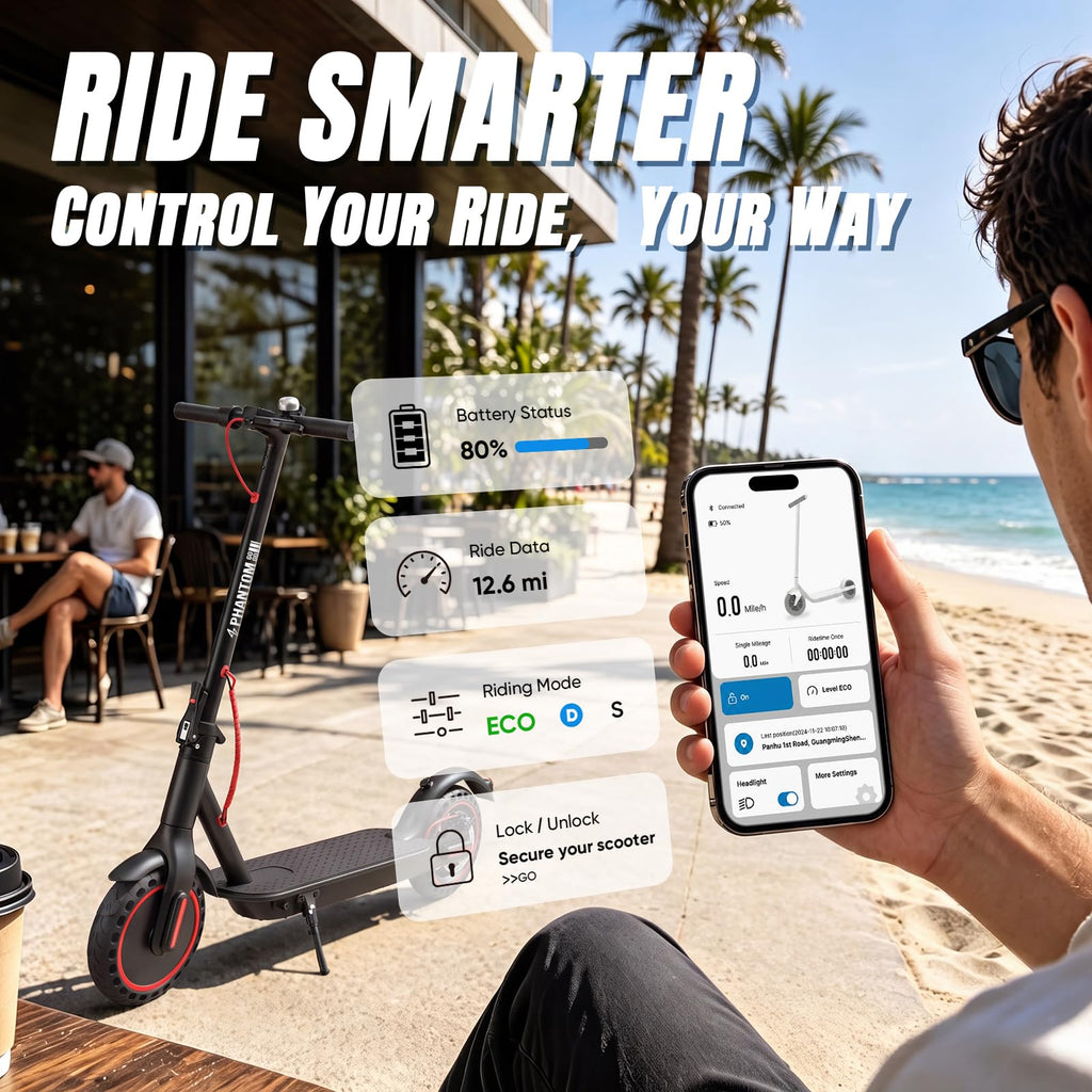 Electric Scooter B8113