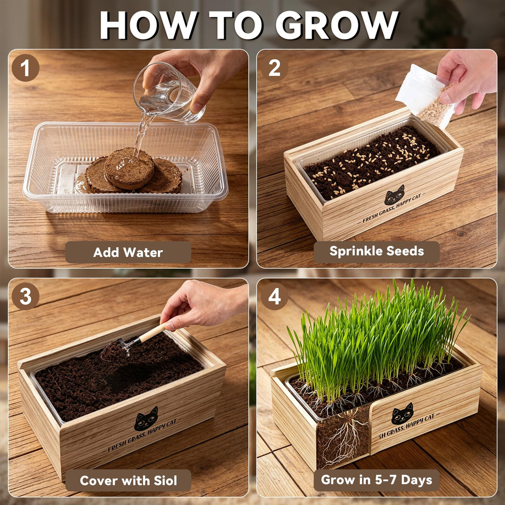 Cat Grass Kit Indoor Non-GMO Wheatgrass Seeds Growing Set A678767