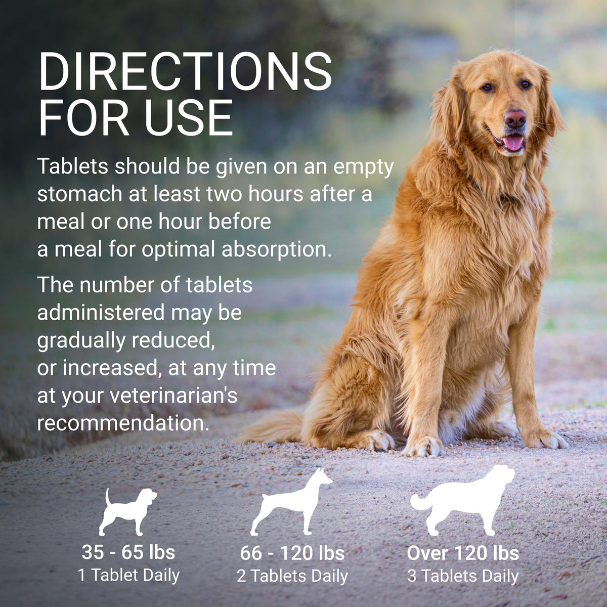Liver & Brain Supplement for Large Dogs, 30ct Tablets N5719