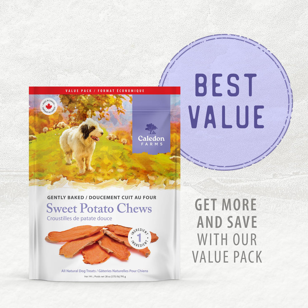 Sweet Potato Chews Dog Treats 28oz C821155