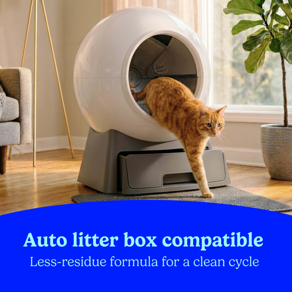 Unscented Clumping Cat Litter with Activated Charcoal, 14 lb E365660