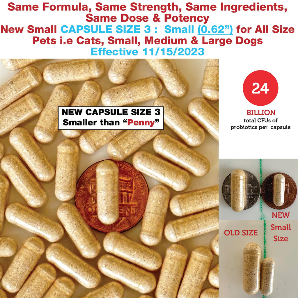 Kidney Probiotic Supplement for Dogs Cats 24 Billion CFU 120 Caps S64967
