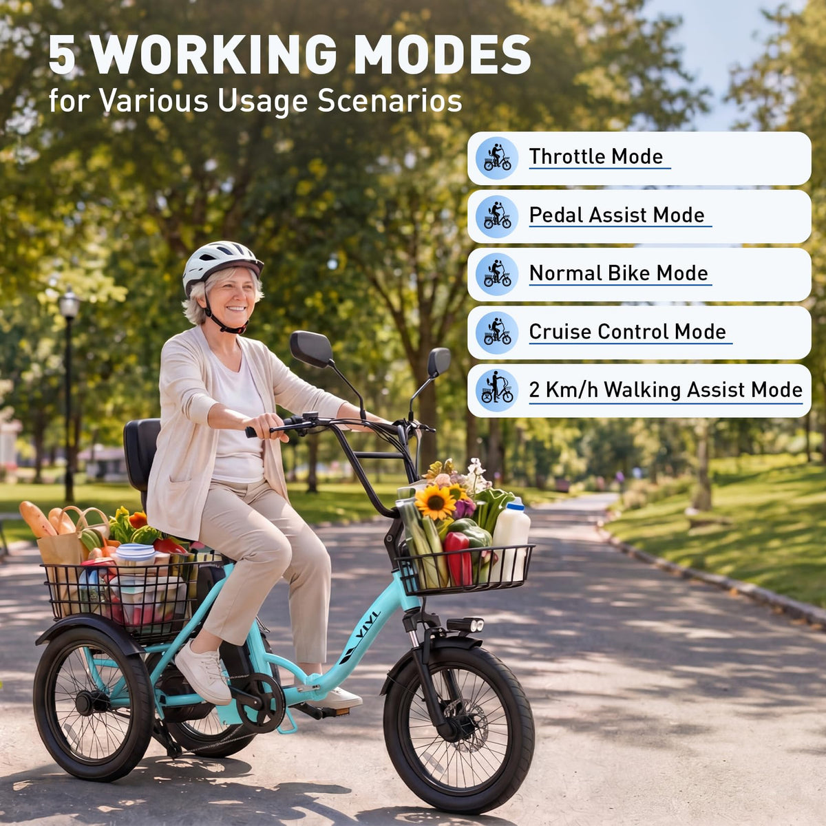 Folding Electric Tricycle 1000W 48V 18" Tire K841