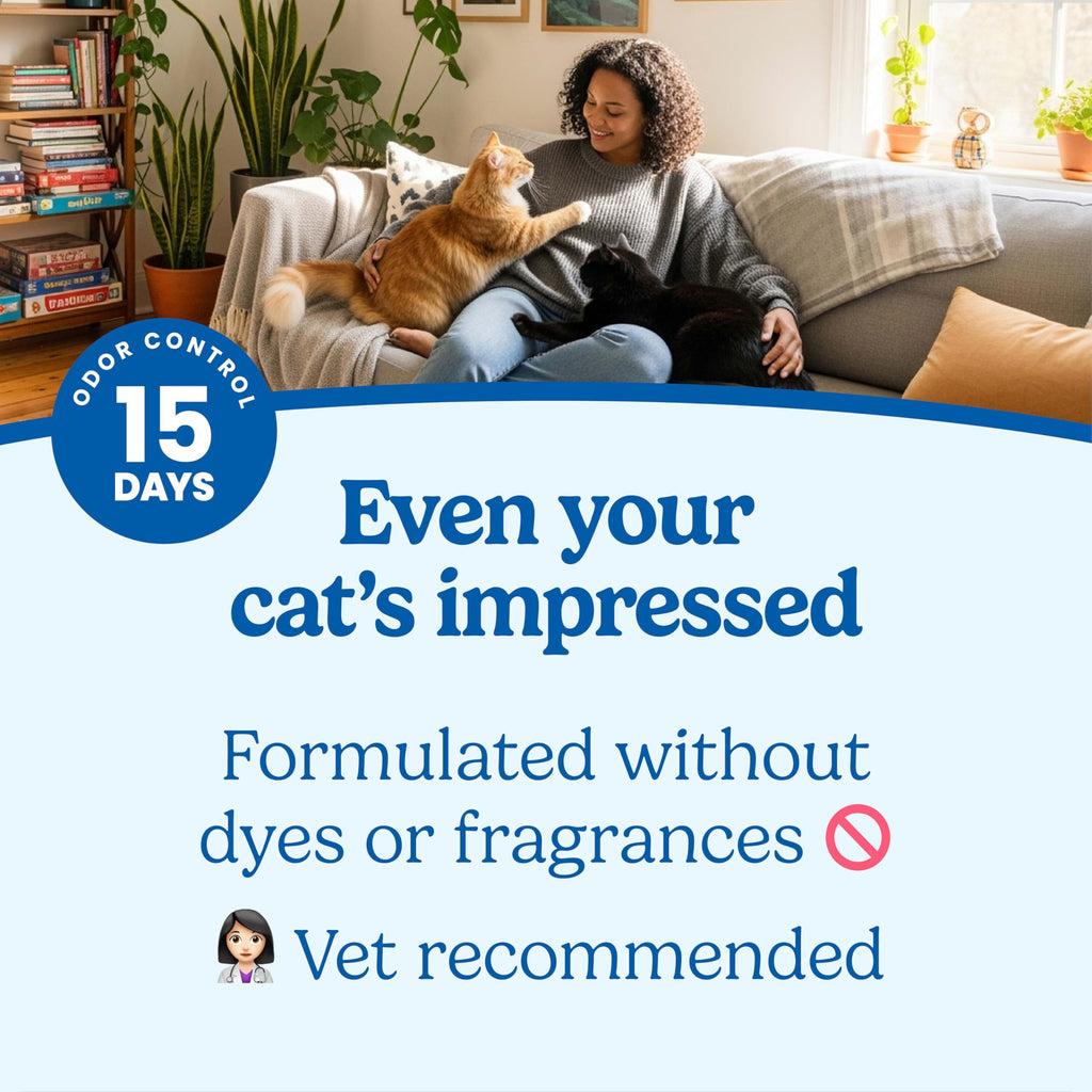 Unscented Clumping Cat Litter with Activated Charcoal, 14 lb E365660