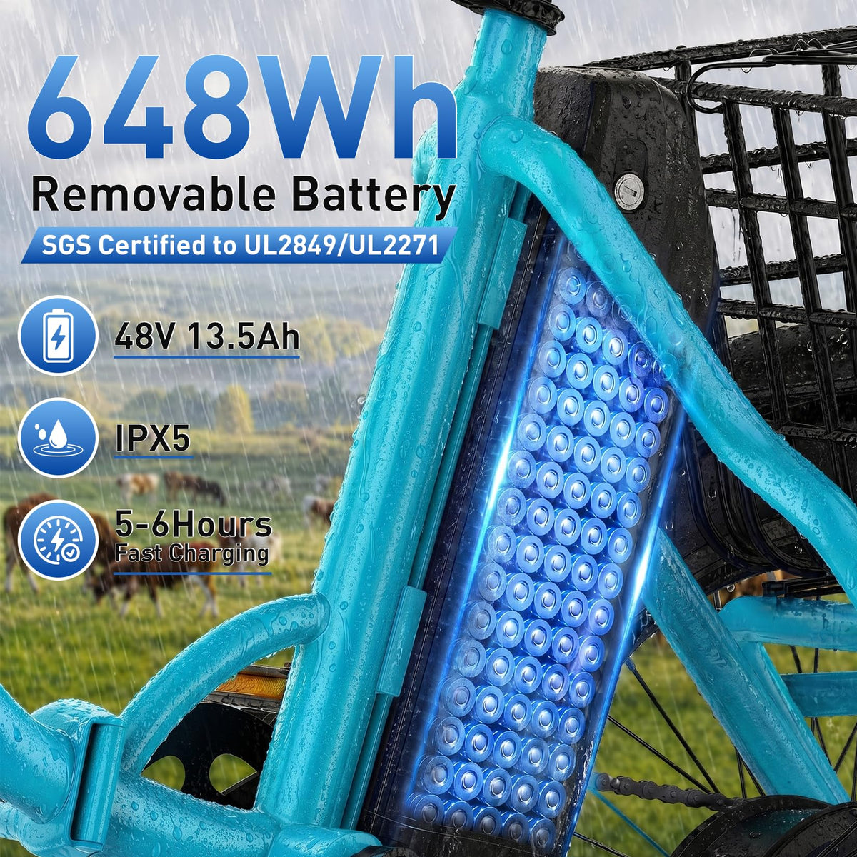 Folding Electric Tricycle 1000W 48V 18" Tire K841