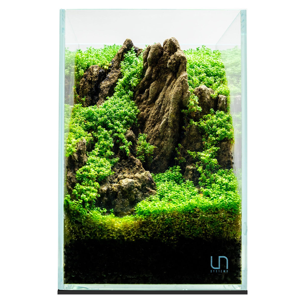 Ultra Clear Rimless Low Iron Glass Aquarium C9765