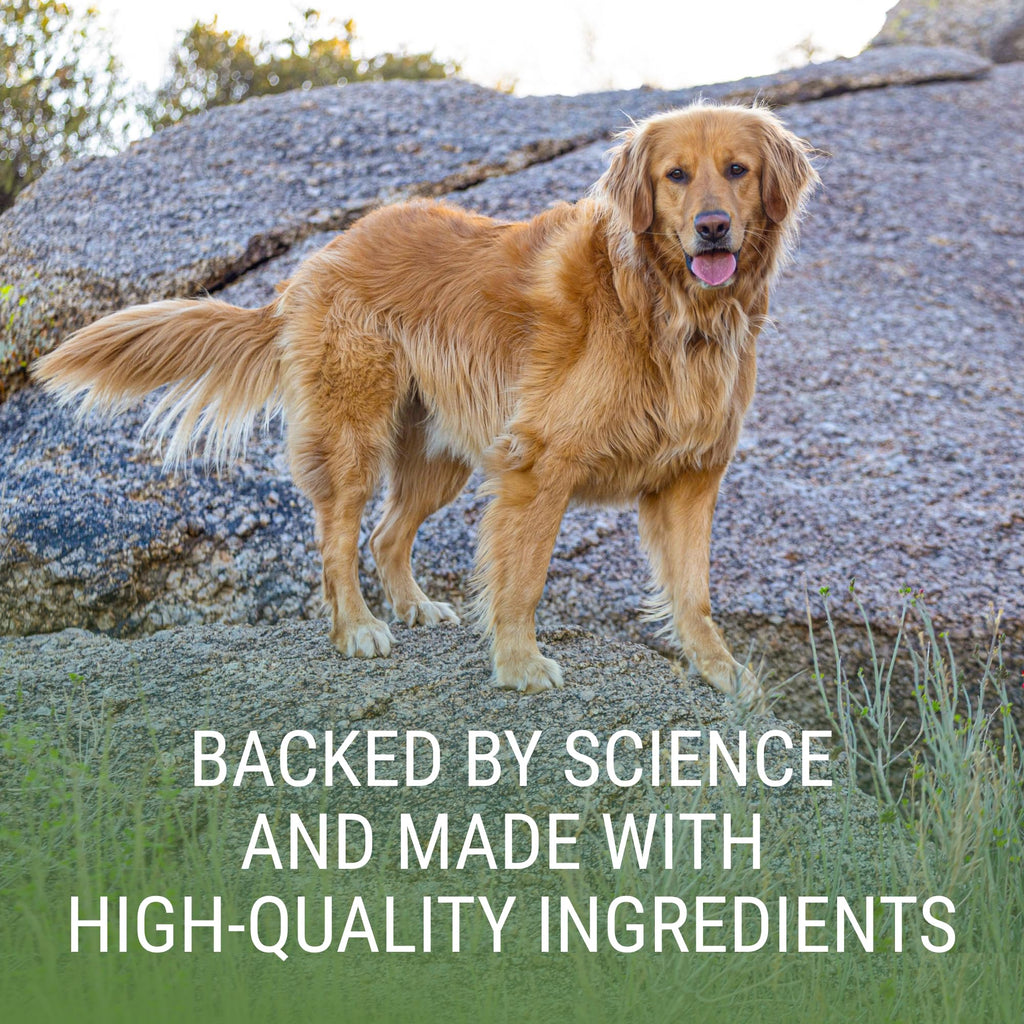 Liver & Brain Supplement for Large Dogs, 30ct Tablets N5719