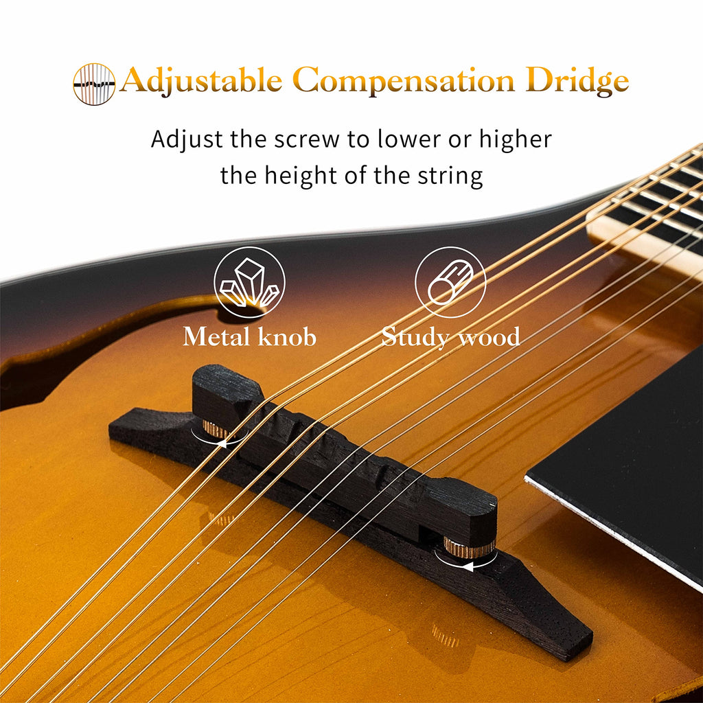 8 String Mahogany Wood Acoustic Mandolin Kit with Gig Bag M232